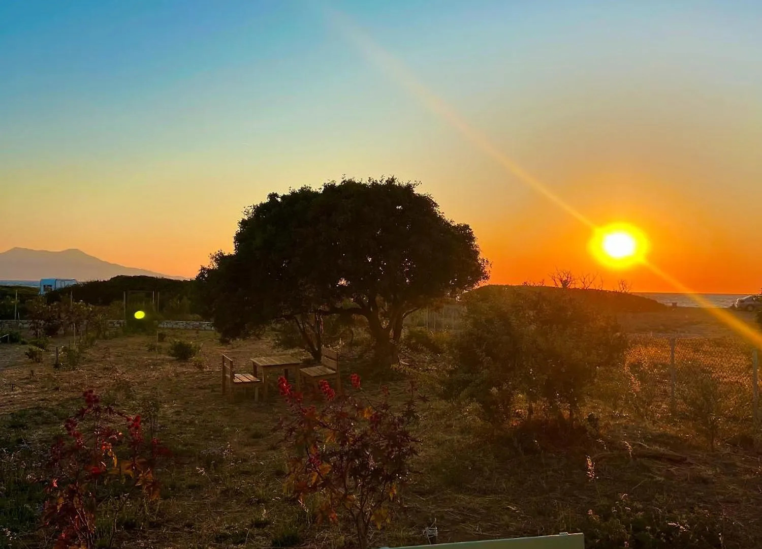 Satsumania Village Parlak