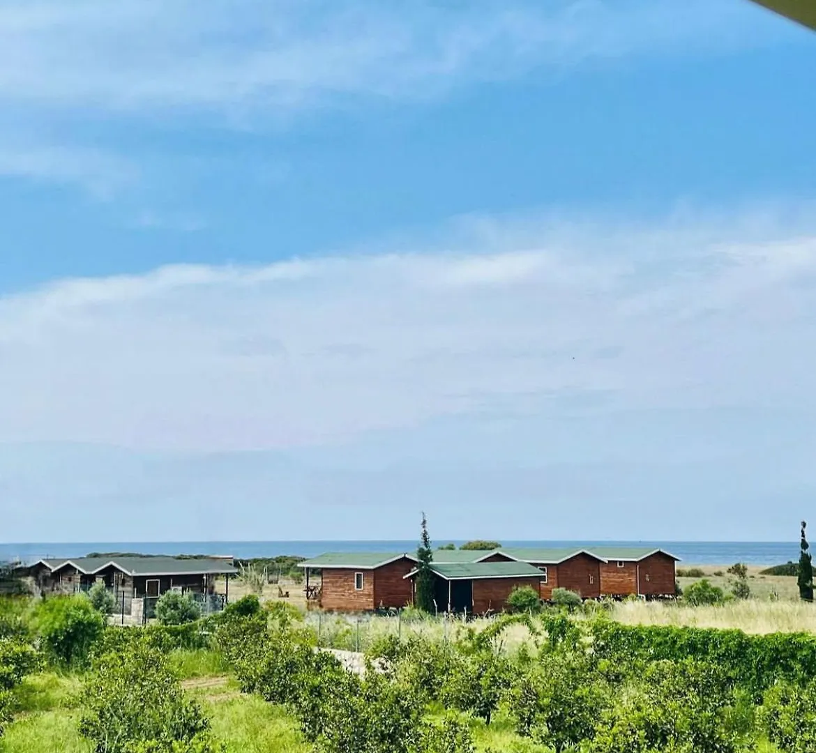 Satsumania Village Parlak