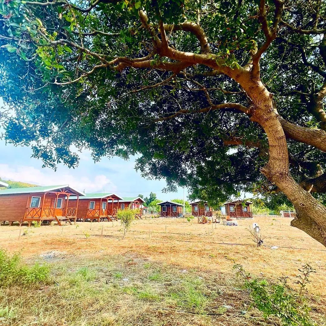 Accommodatie bij particulieren Satsumania Village Parlak